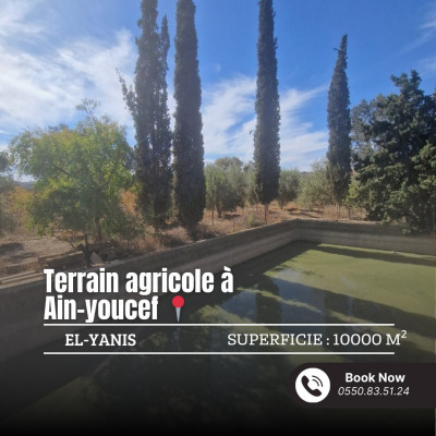 terrain-agricole-vente-tlemcen-ain-youcef-algerie