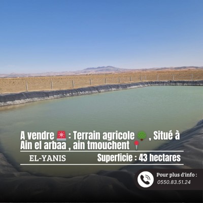 Sell Farmland Aïn Témouchent Ain el arbaa