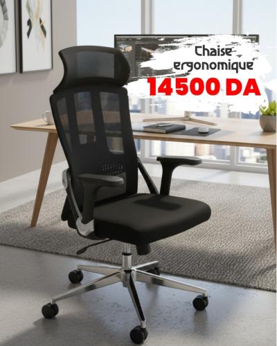 Chaise Ergonomique Armonia