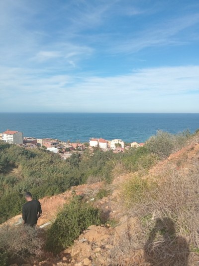 Vente Terrain Tipaza Ain tagourait