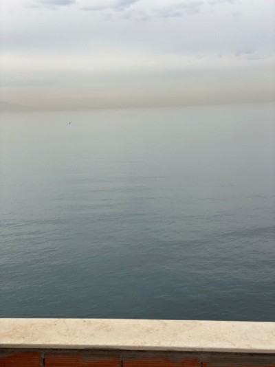 بيع شقة 4 غرف الجزائر دالي ابراهيم