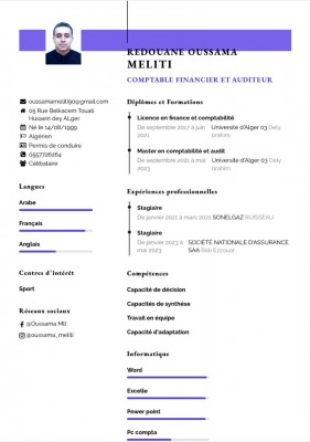 comptabilite-audit-comptable-hussein-dey-alger-algerie
