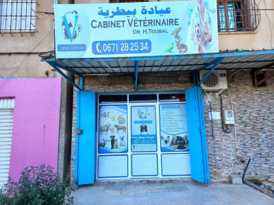 medecine-sante-cabinet-veterinaire-dr-toubal-boumerdes-algerie