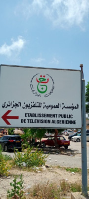 بيع أرض الجزائر سعيد حمدين
