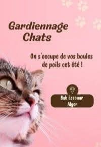 قطة-gardiennage-chats-باب-الزوار-الجزائر