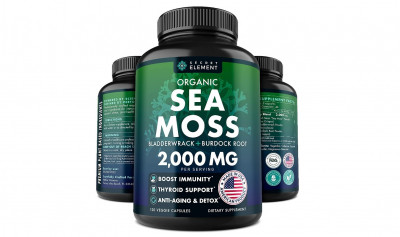 مواد-شبه-طبية-sea-moss-irish-en-capsules-made-in-usa-دار-البيضاء-قسنطينة-الجزائر
