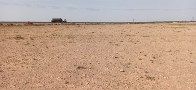 terrain-agricole-vente-djelfa-ain-oussara-algerie