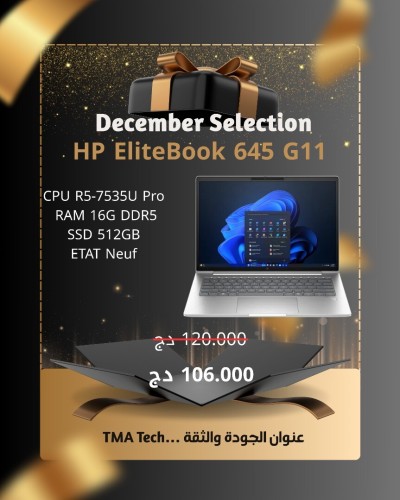 HP EliteBook 645 G11 R5-7535U Pro 16/512 Cycle 5