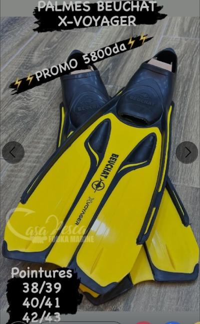 Palme Beuchat X Voyager