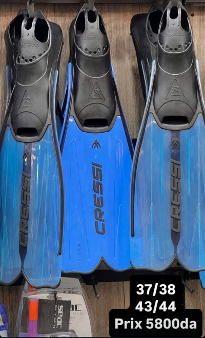 Palme Cressi Rondenella 