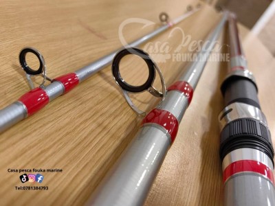 Canne APACHE SURFCASTING 4503