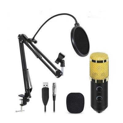 Kit Microphone Professional Condensateur Avec Micro - M-800U 