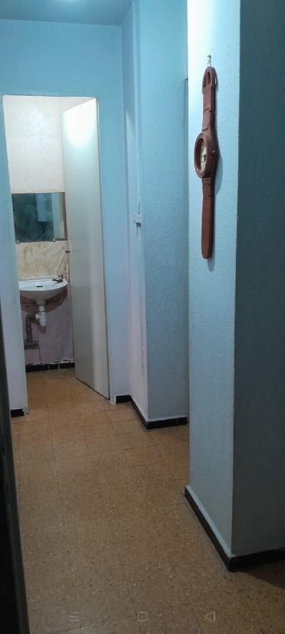 كراء شقة 3 غرف الجزائر بن عكنون