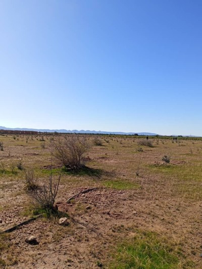 Sell Land Djelfa Ain oussara