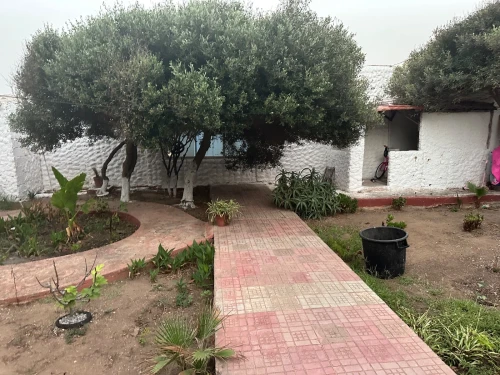Vente Villa Alger Ain taya