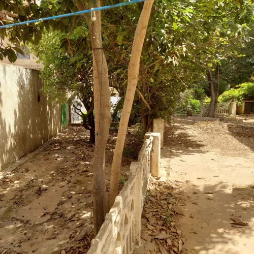 Vente Villa Alger El mouradia