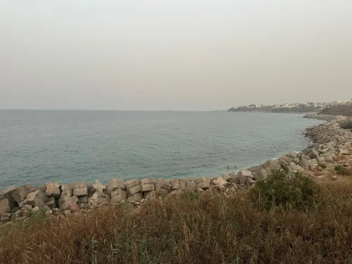 Vente Villa Alger Ain taya