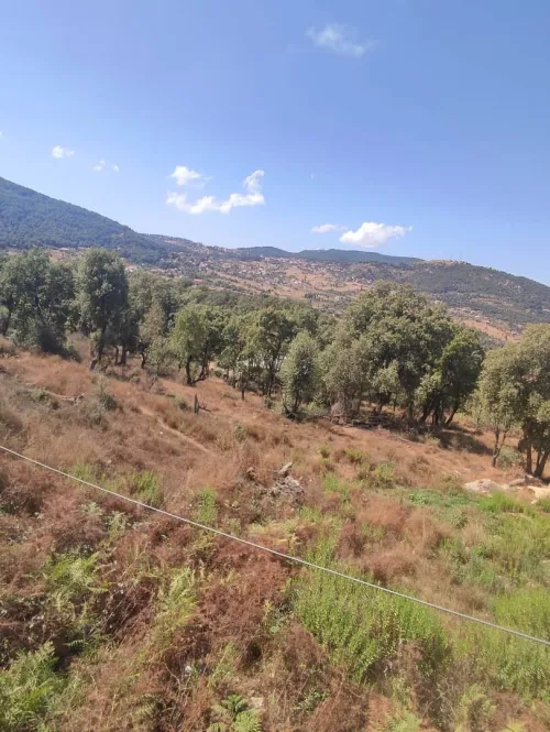 Vente Terrain Tizi Ouzou Azazga