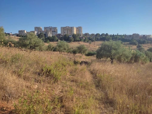 Vente Terrain Tizi ouzou Azazga