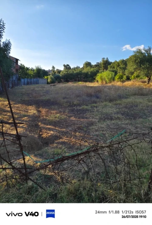 Vente Terrain Tizi Ouzou Azazga