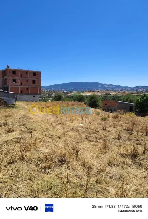 Vente Terrain Tizi Ouzou Freha