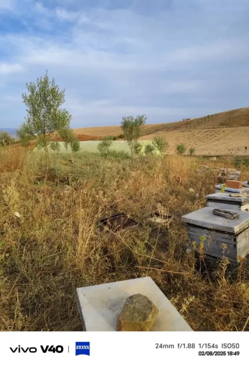 Vente Terrain Tizi Ouzou Timizart
