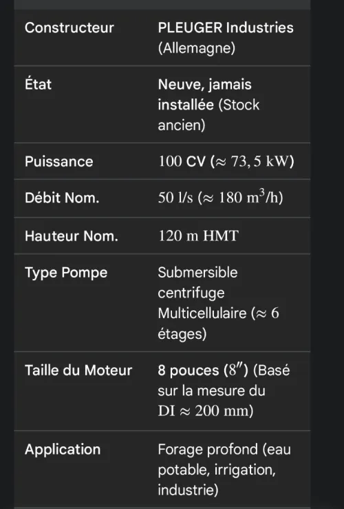 Pompe immergée 