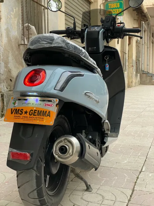 Vms Gemma 2025