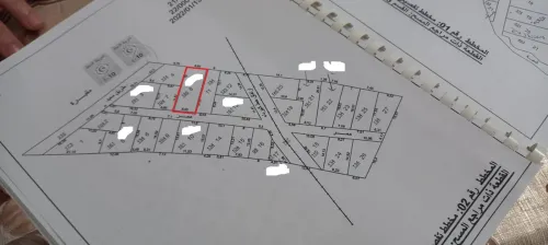 Vente Terrain Tissemsilt Lardjem