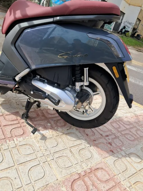 Vms Gemma 2025
