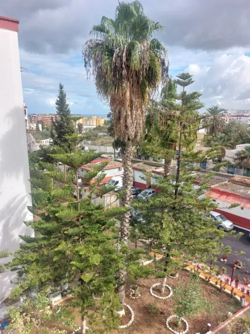 Location Appartement F3 Alger Kouba