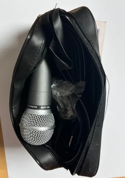 Microphone professionnel filaire