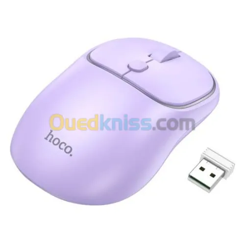 SOURIS SANS FIL HOCO GM25