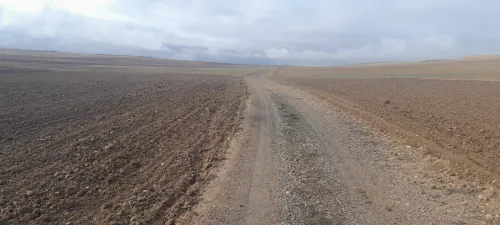 Vente Terrain Agricole Oum El Bouaghi Berriche
