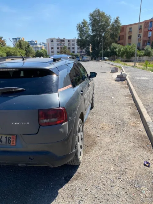 Citroen C4 Cactus 2014 