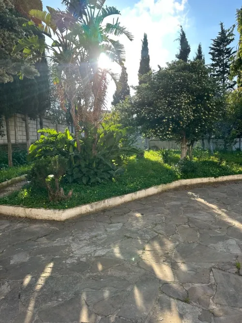 Location Villa Alger Ben aknoun