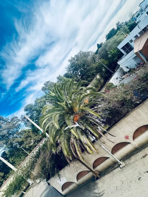 Location Appartement Niveau de villa F3 Alger Ben aknoun