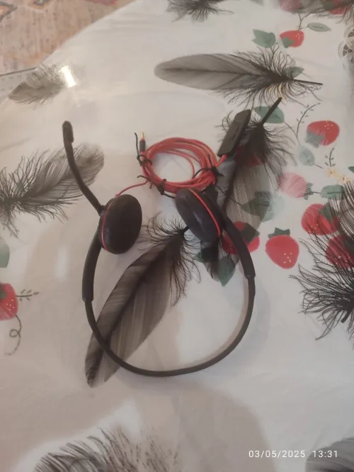 Casque planteonics