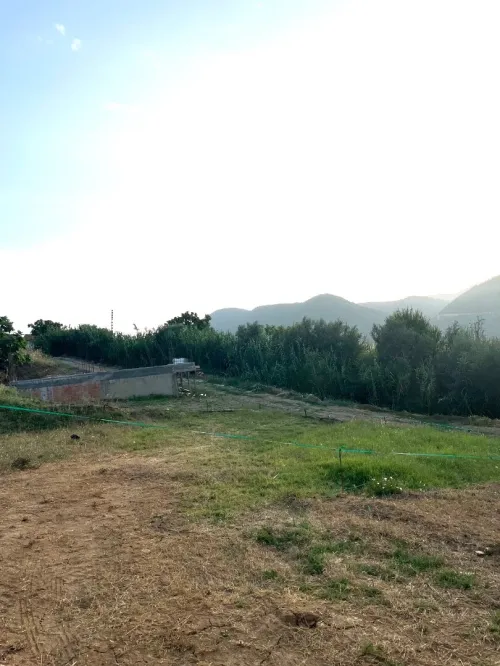Vente Terrain Blida Oued djer