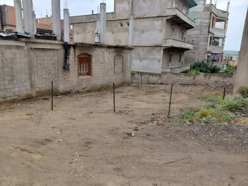 Vente Terrain Skikda Ramdane djamel