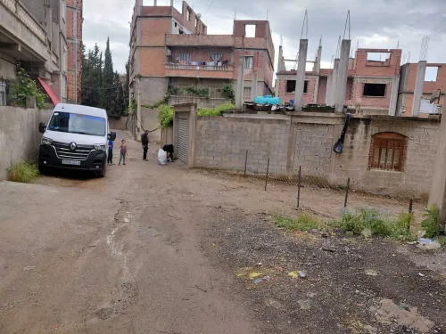 Vente Terrain Skikda Ramdane djamel