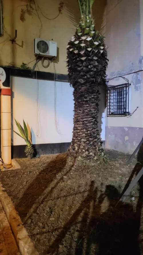Location Local Alger Baba hassen