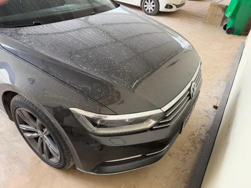 Volkswagen Passat 2019 Carat