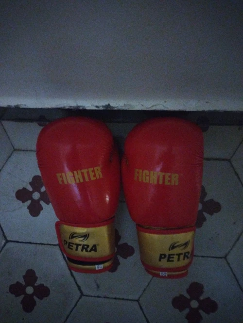 Gants de boxe 