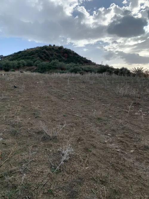 Vente Terrain Boumerdès Tidjelabine
