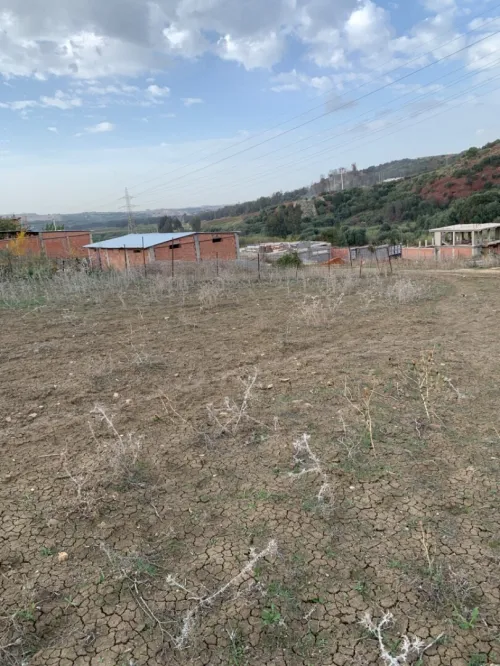Vente Terrain Boumerdès Tidjelabine