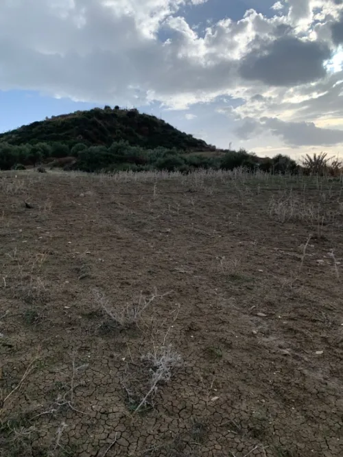 Vente Terrain Boumerdès Tidjelabine