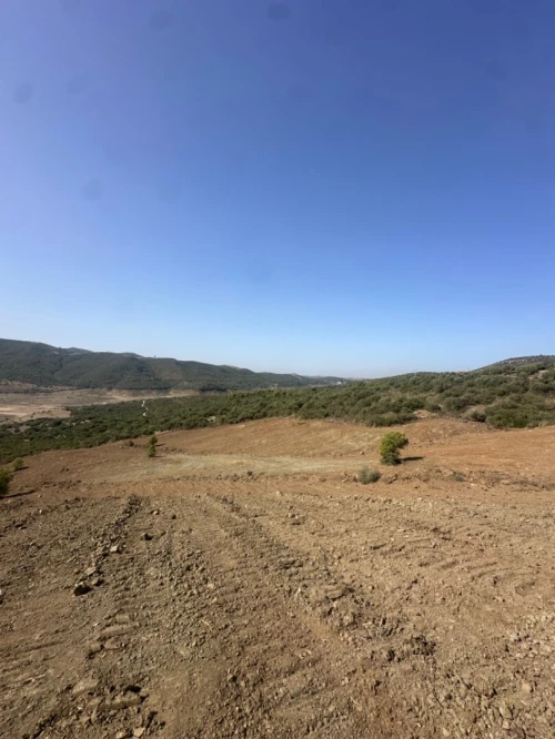 Vente Terrain Boumerdès Keddara
