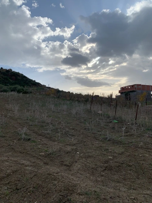 Vente Terrain Boumerdès Tidjelabine