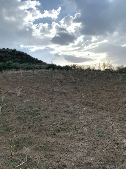 Vente Terrain Boumerdès Tidjelabine